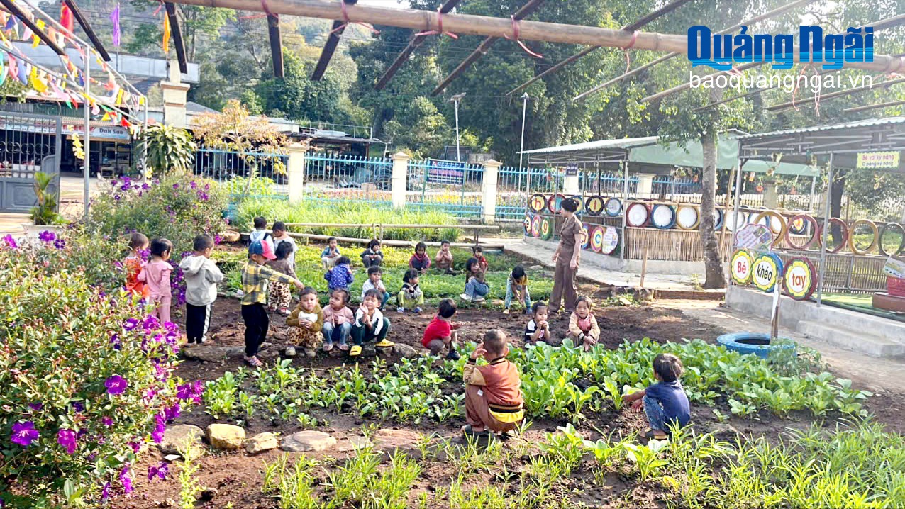 Gieo chữ nơi đại ngàn