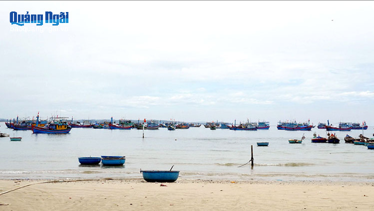 Kiểm soát các bãi ngang ven biển