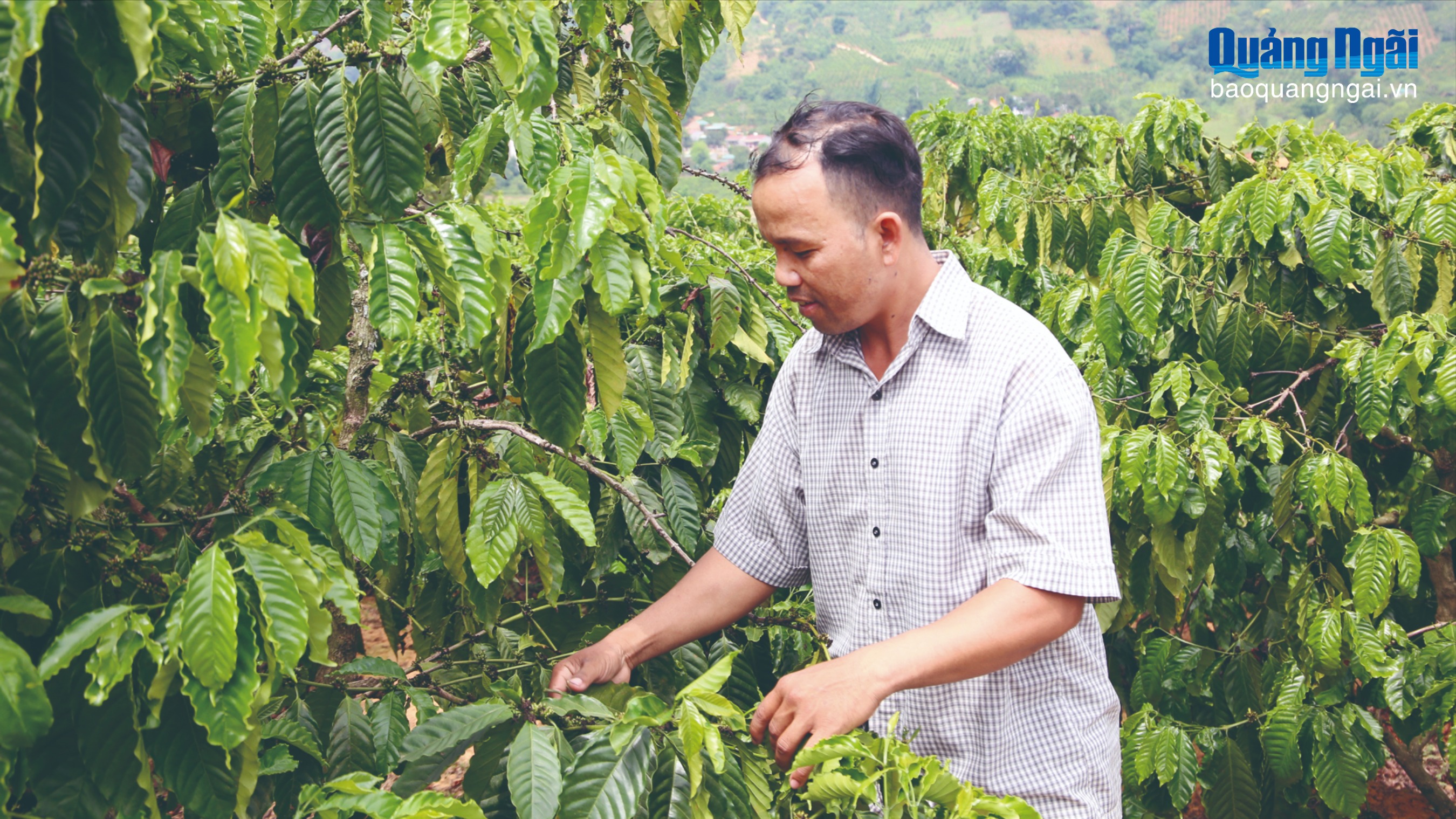 Những hạt nhân khơi dậy sức dân