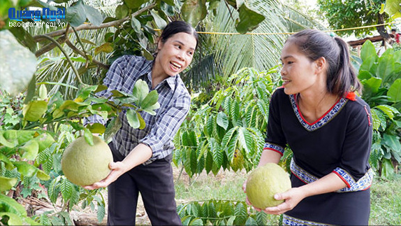 Hiện đại hóa nông thôn