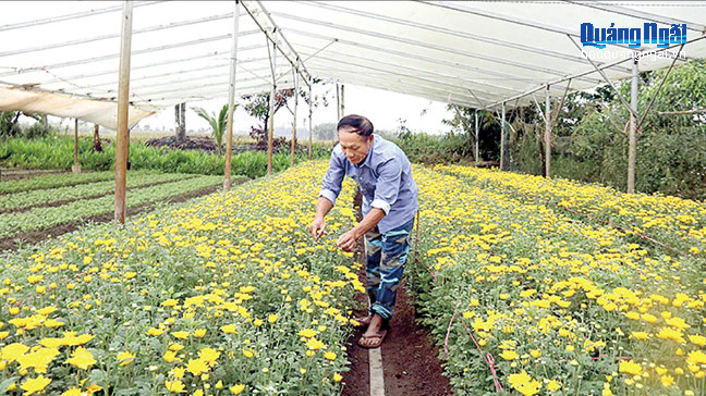 Cải tạo vườn tạp để phát triển kinh tế