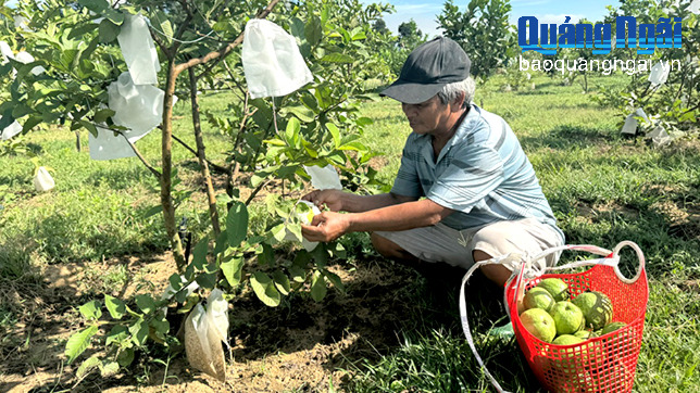 Phát huy hiệu quả các chương trình mục tiêu quốc gia