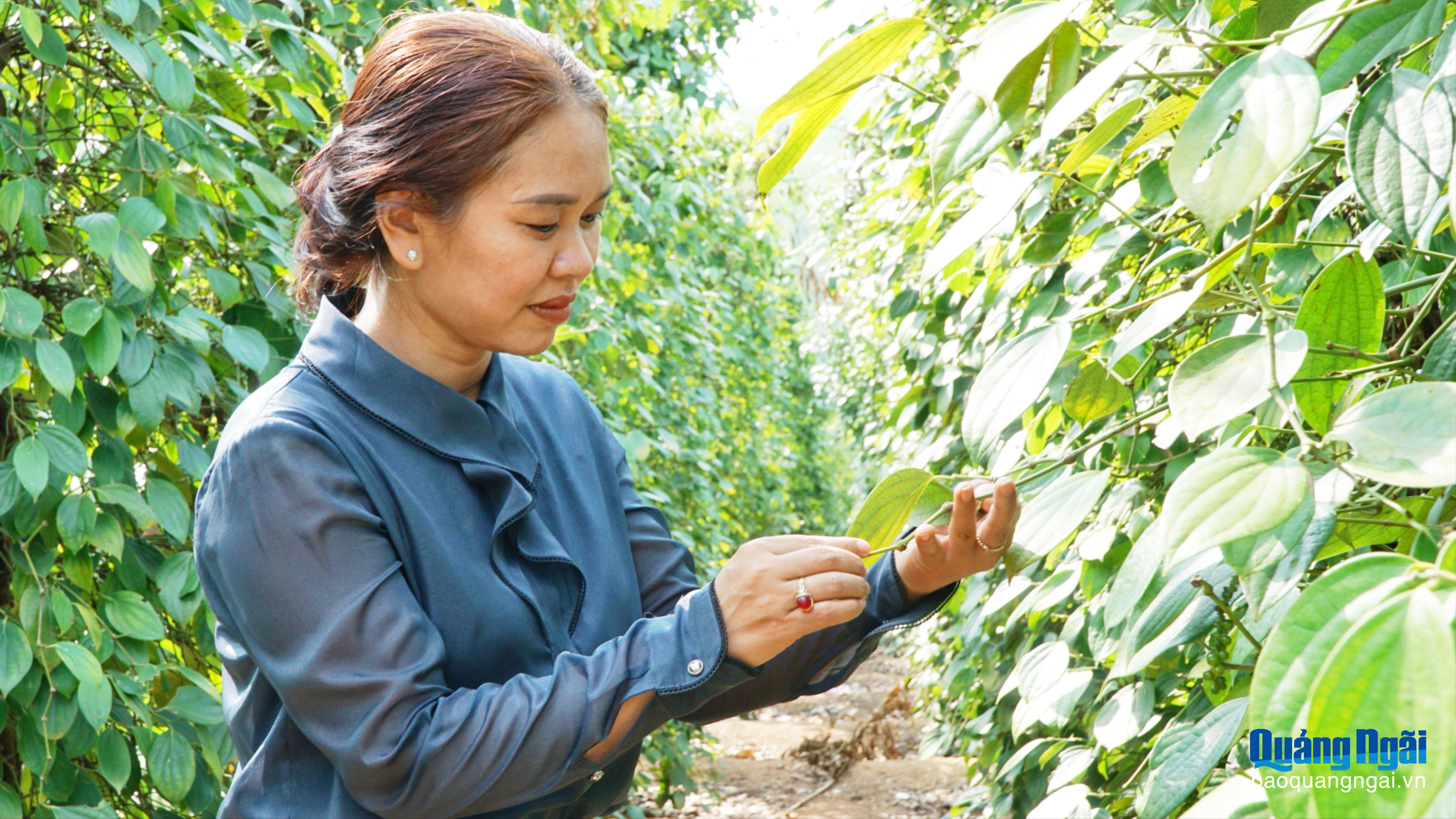 Cán bộ hội phụ nữ năng động, làm kinh tế giỏi