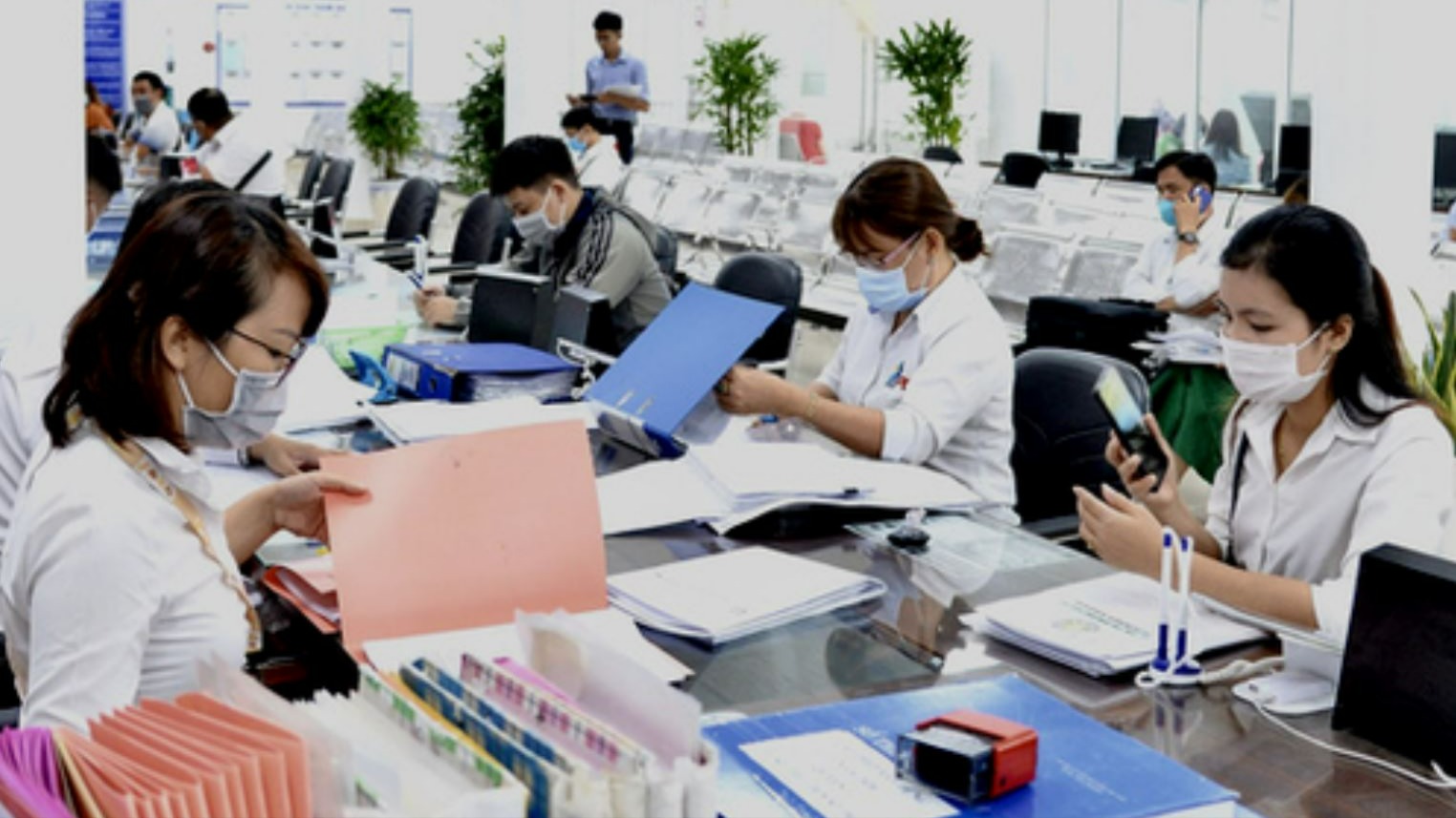 Quy định mới về tiêu chuẩn chức danh công chức lãnh đạo, quản lý trong cơ quan hành chính nhà nước