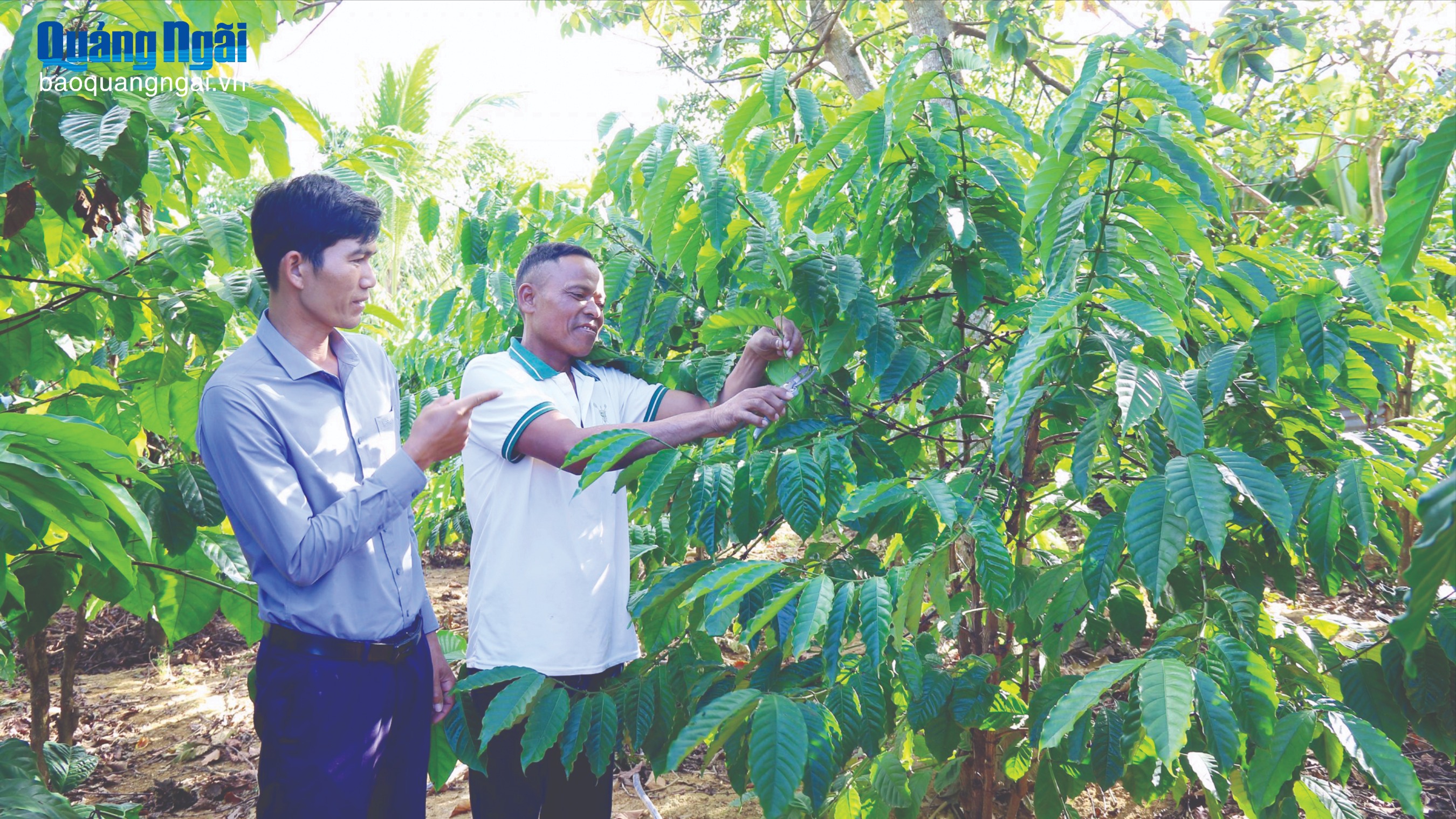 Đồng bào Công giáo: Chung sức xây dựng quê hương