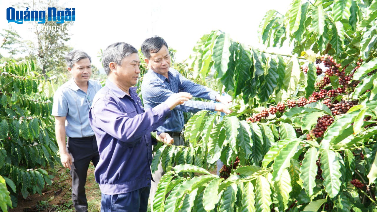 Khi phong trào “4 tốt” đi vào thực chất