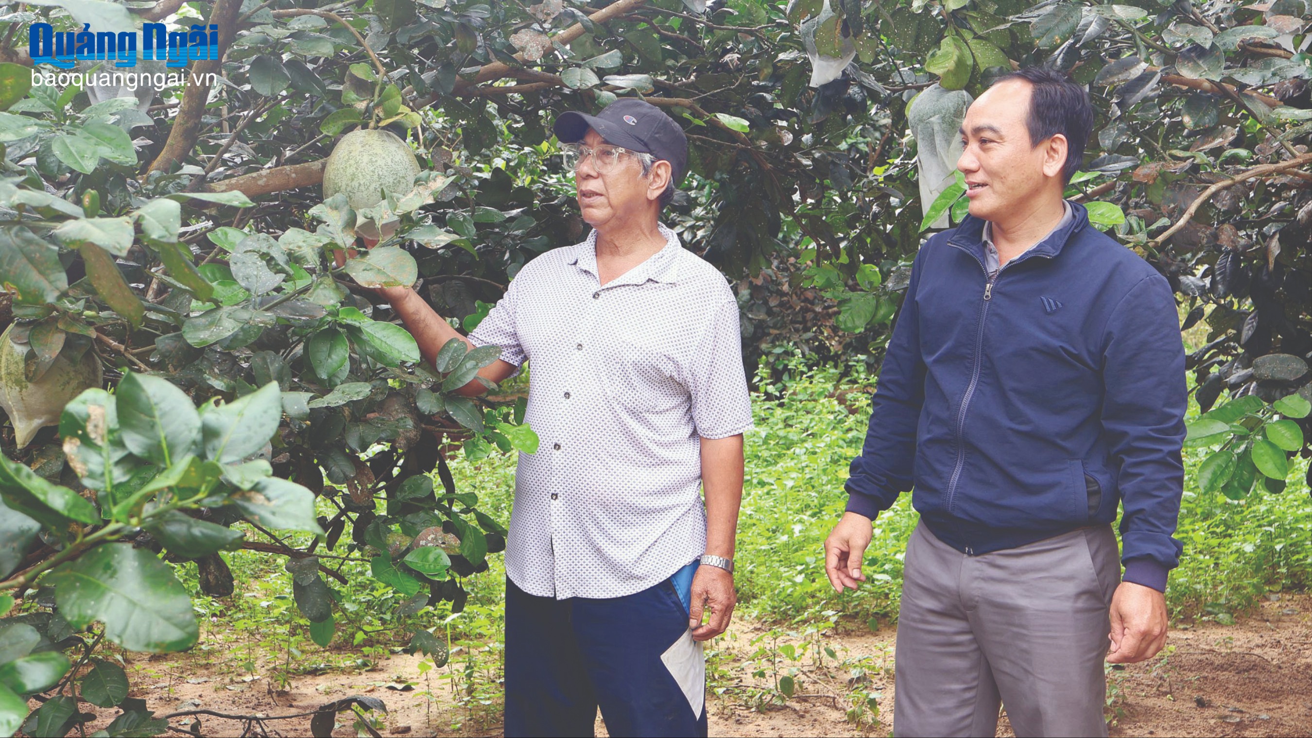 Khi đảng viên gương mẫu đi đầu