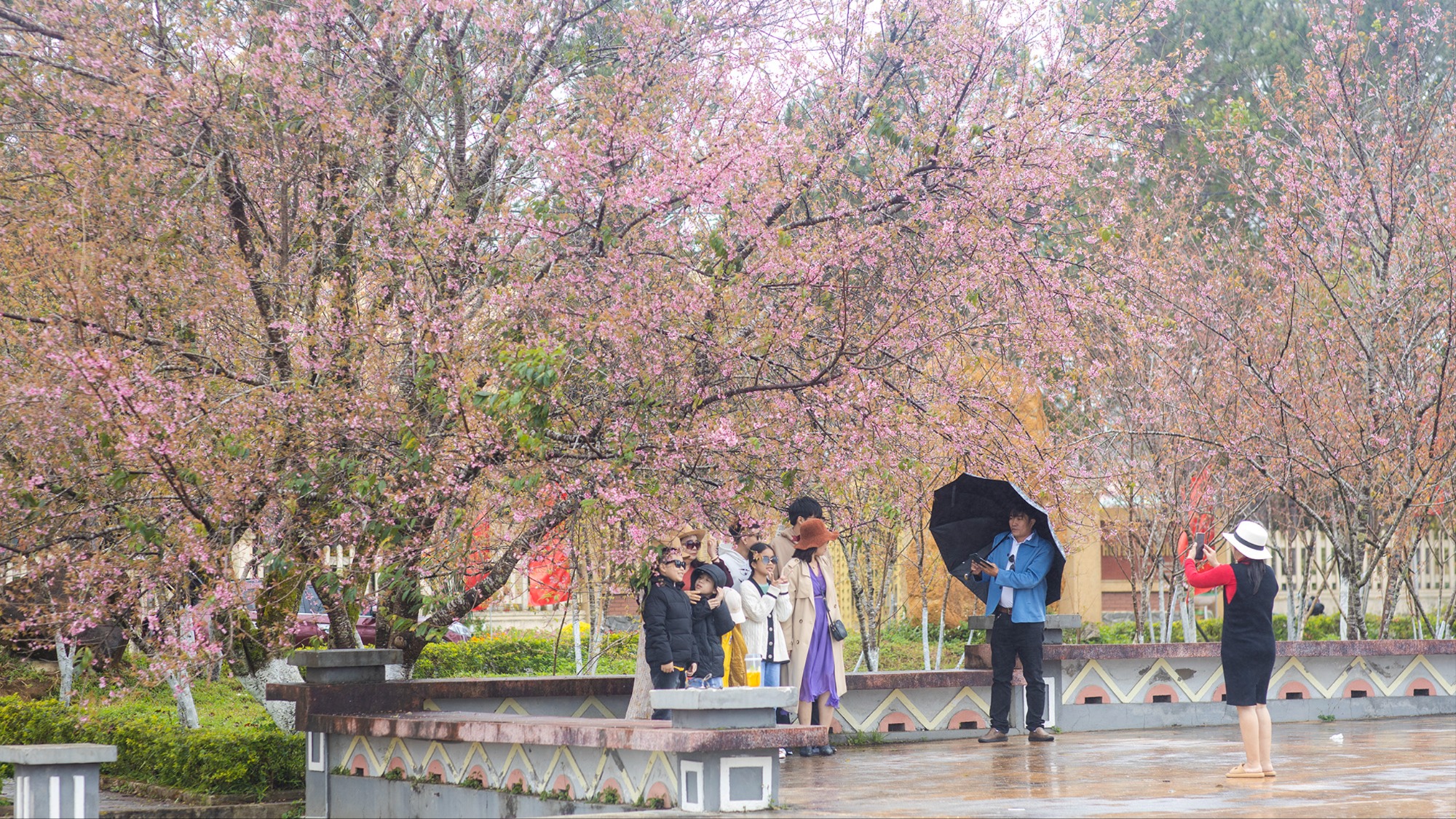 Quảng Ngãi đón năm mới trong nắng ấm trước khi chuyển mưa rào