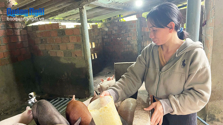 Nữ bí thư chi bộ nêu gương sáng