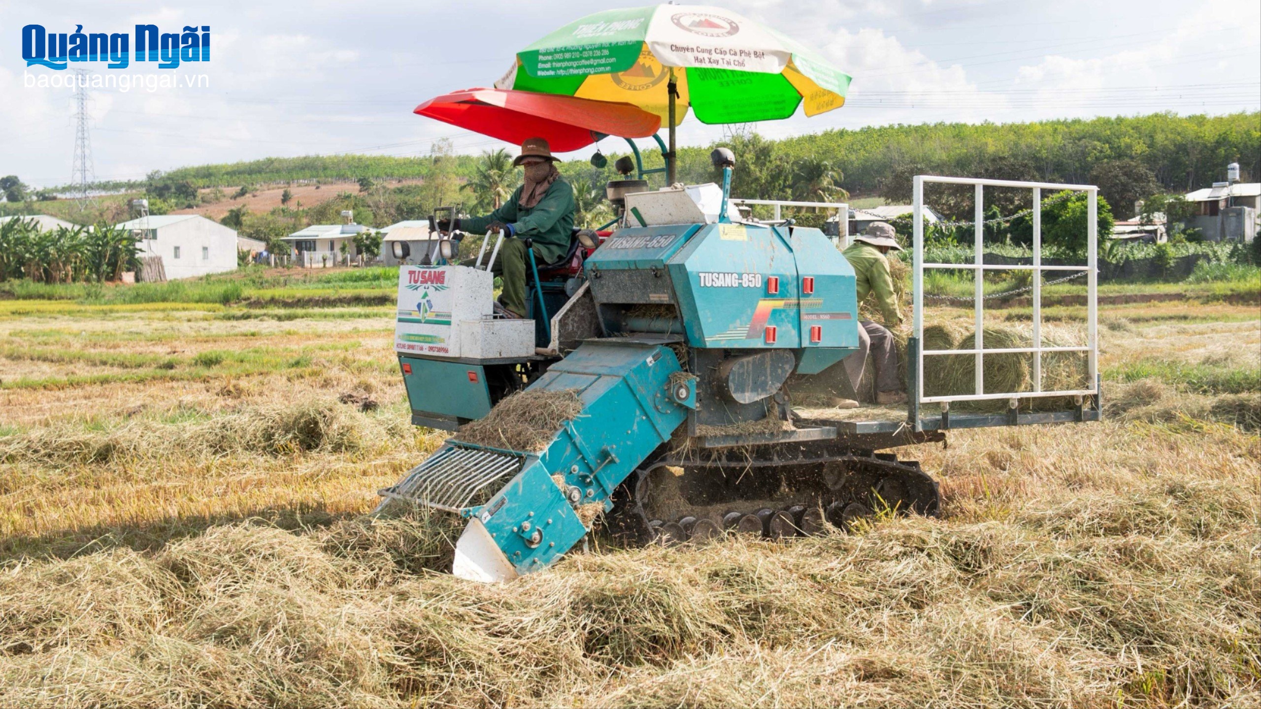 Gia tăng giá trị nông sản nhờ liên kết sản xuất