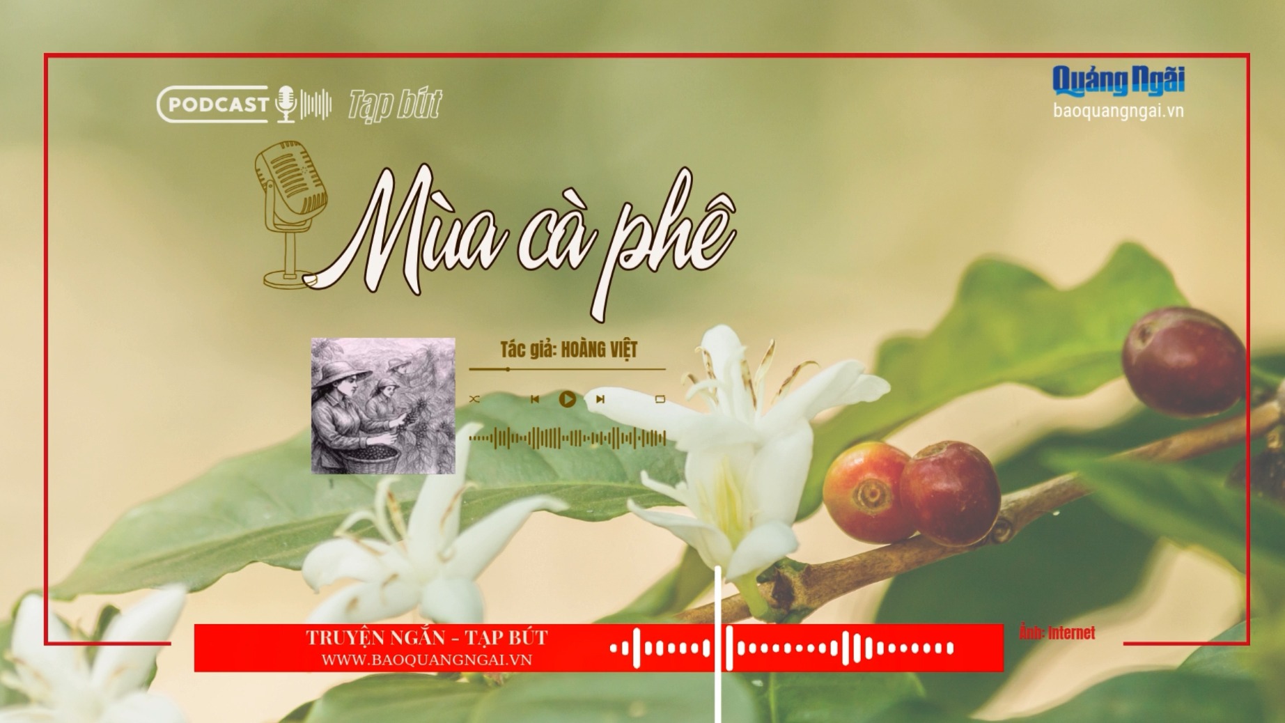 [Podcast]. Mùa cà phê