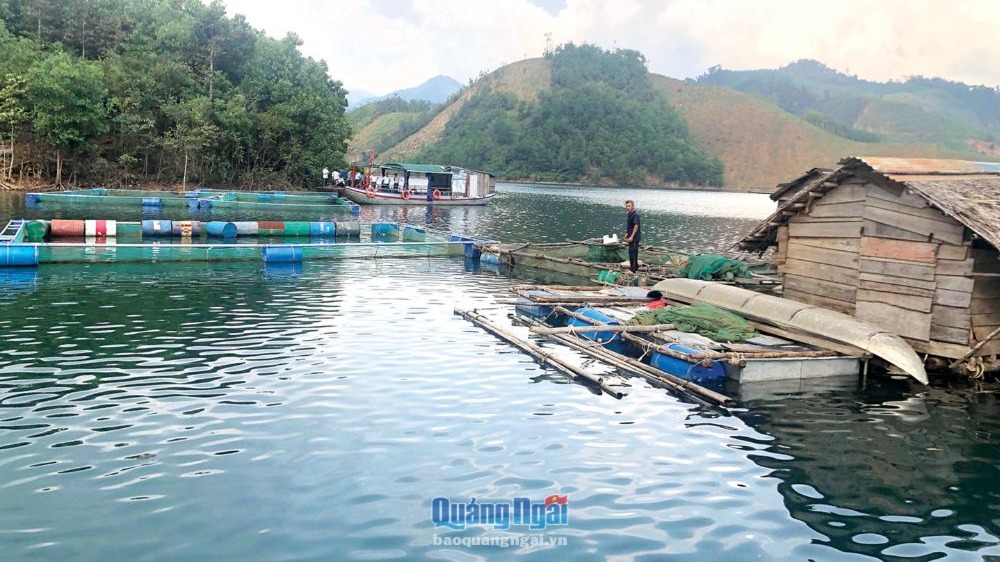 Tăng cường quan trắc, cảnh báo môi trường và phòng chống dịch bệnh thủy sản năm 2025