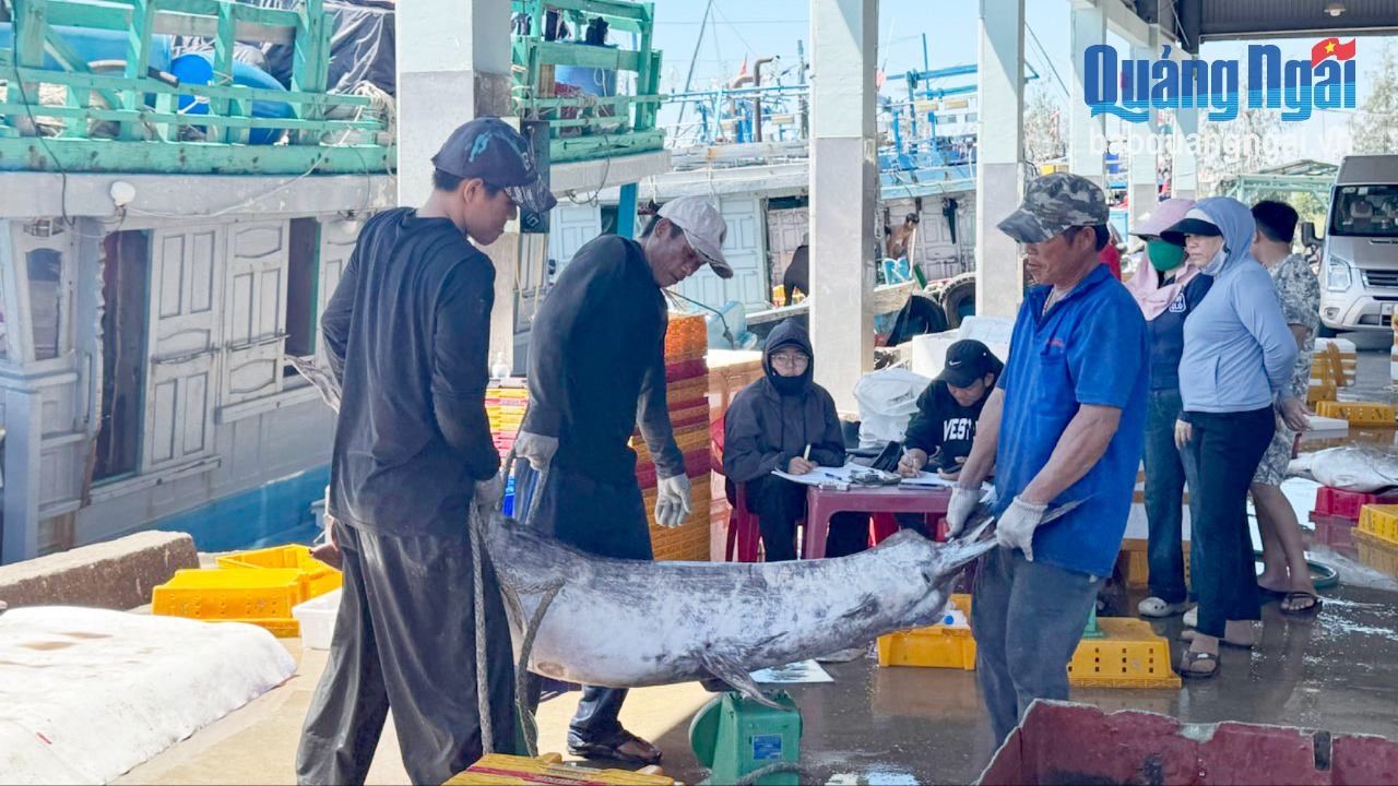 Ngư dân hăng hái ra khơi Ngư dân hăng hái ra khơi