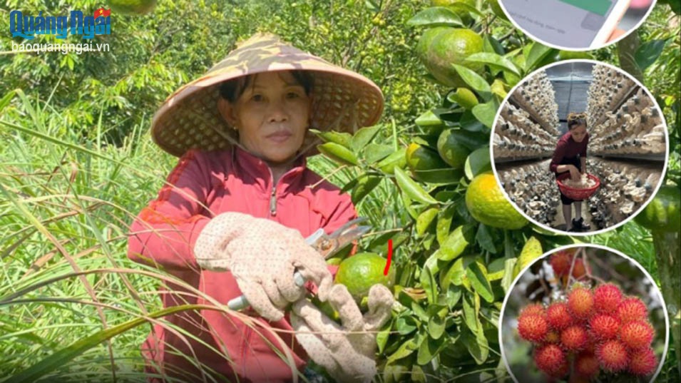 Quảng Ngãi đẩy mạnh phát triển kinh tế số