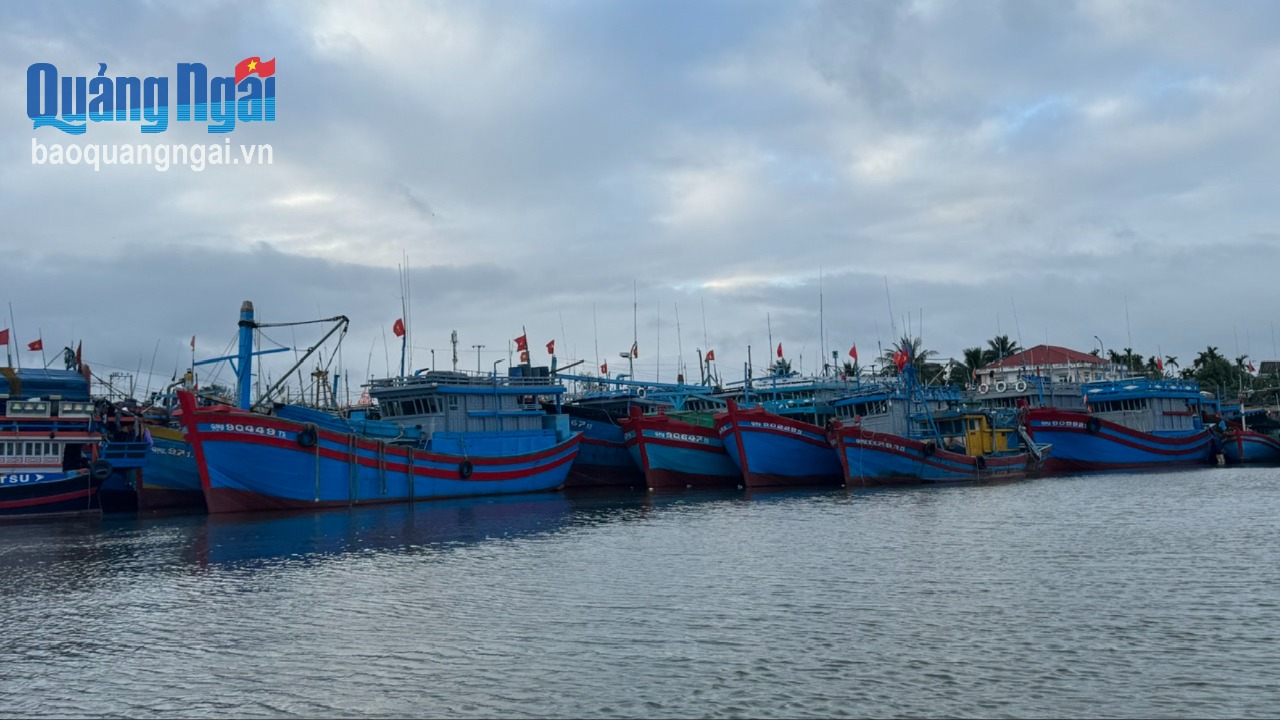 Tái cơ cấu đội tàu đánh bắt hải sản