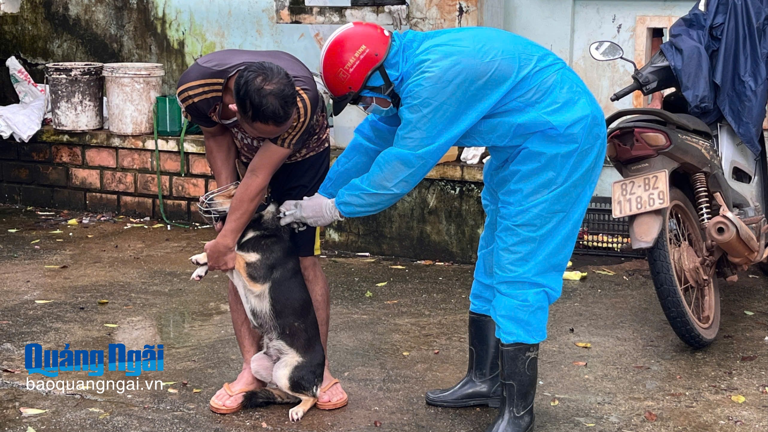 Xã Ia Tơi triển khai tiêm vắc xin dại trên đàn chó