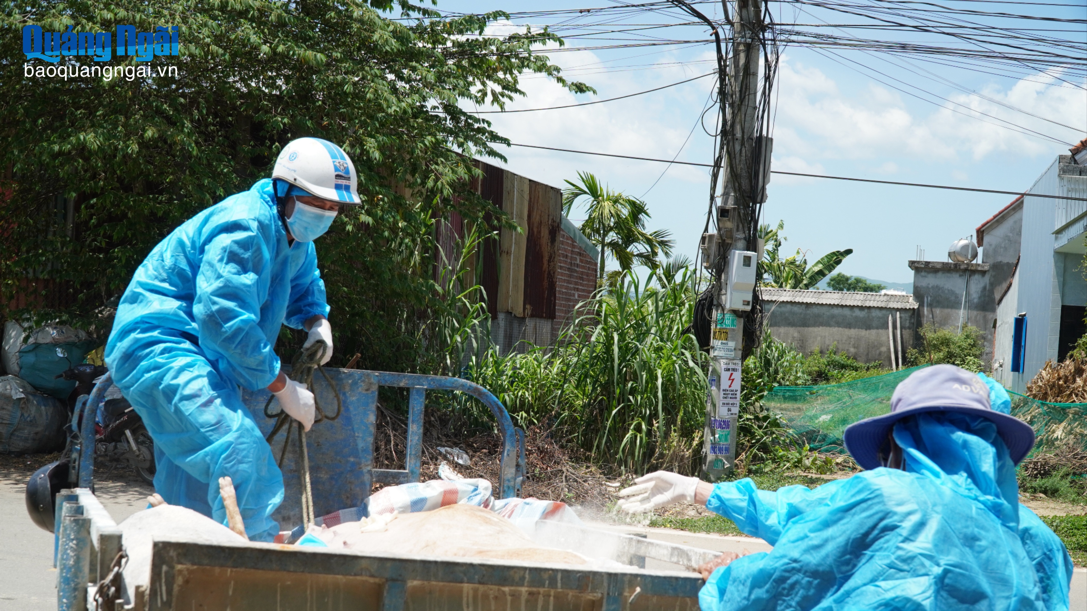 Nỗ lực bảo vệ cây trồng, vật nuôi