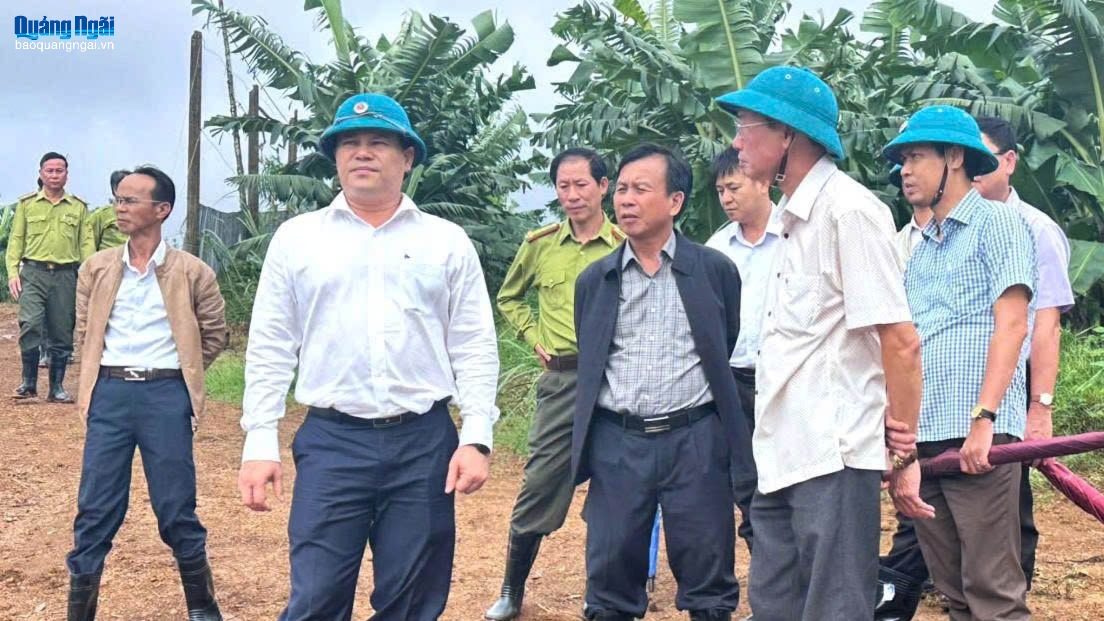 Nâng cao năng lực sản xuất, đa dạng hóa sản phẩm từ rừng