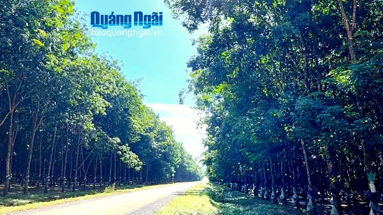 Thế và lực mới ở xã Ia Đal