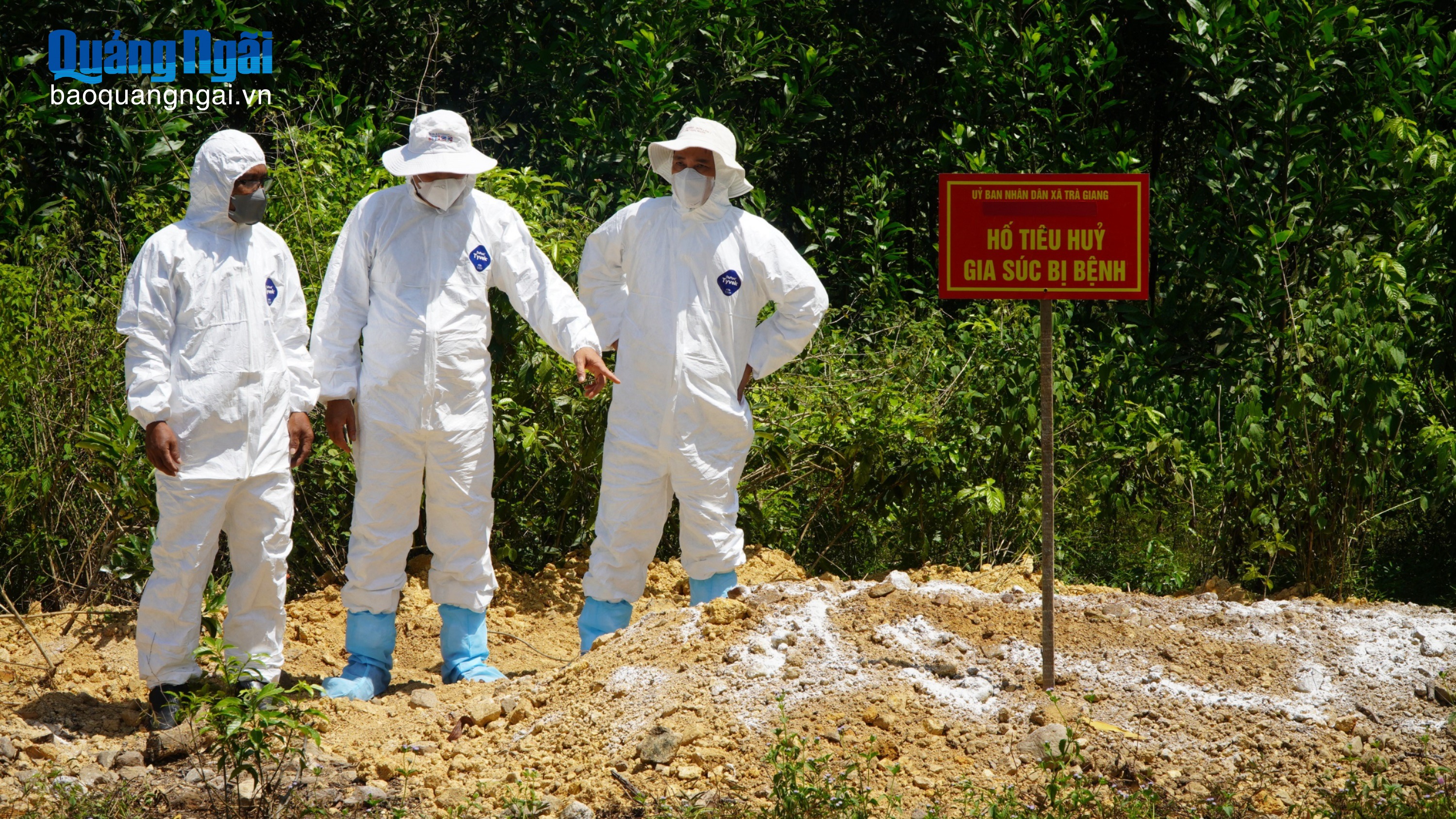 Sở Nông nghiệp và Môi trường kiểm tra công tác phòng, chống dịch trên động vật tại xã Trà Giang