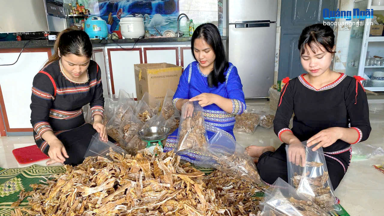 Mùa hái “lộc rừng”