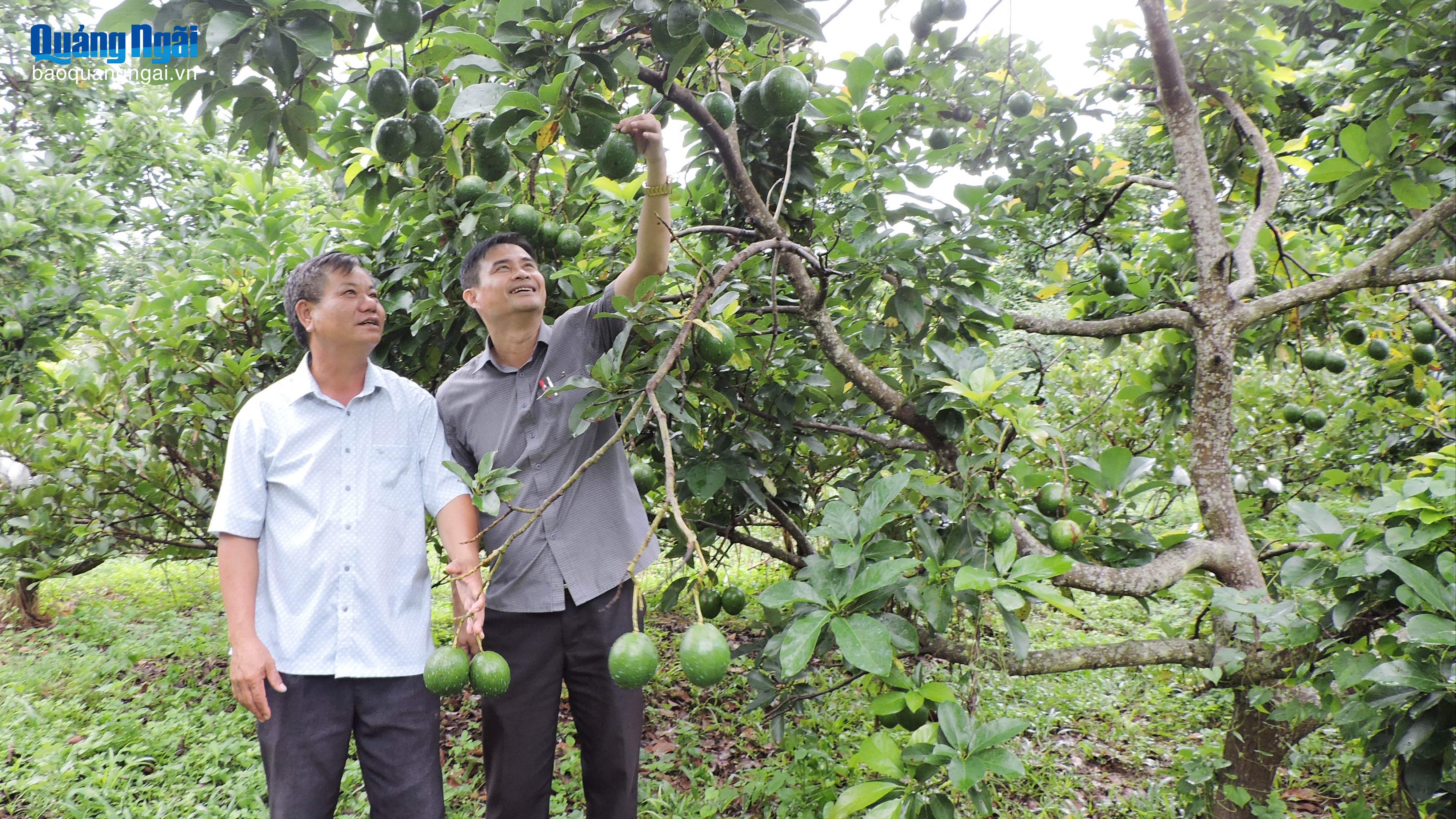 Hợp tác xã đưa nông sản Việt vươn xa