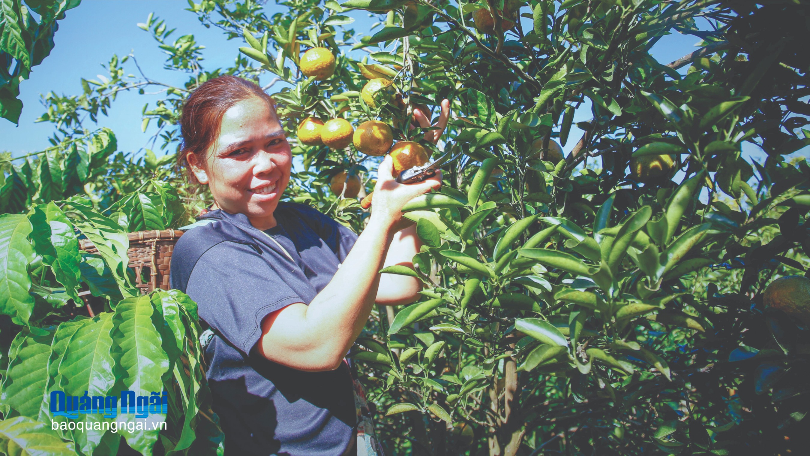 Phụ nữ tự tin làm kinh tế