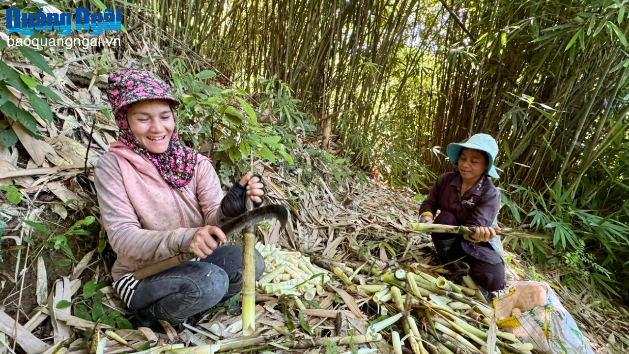 Mùa sản vật ở vùng cao