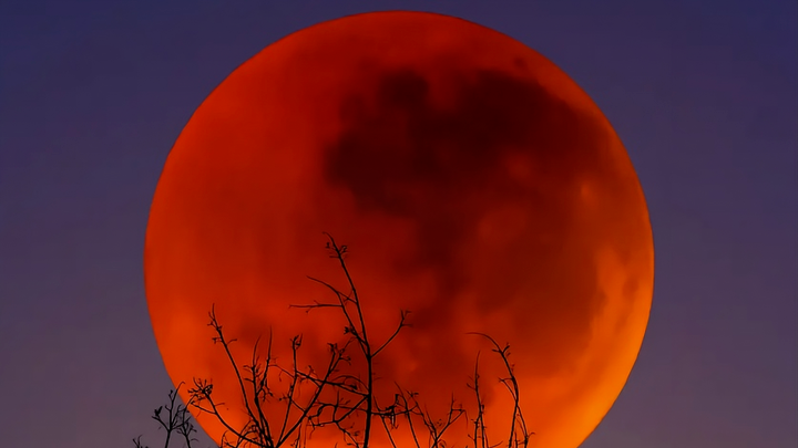 Trăng Máu Mùa Gặt: Màn trình diễn kỳ vĩ của thiên nhiên vào đêm 7/9