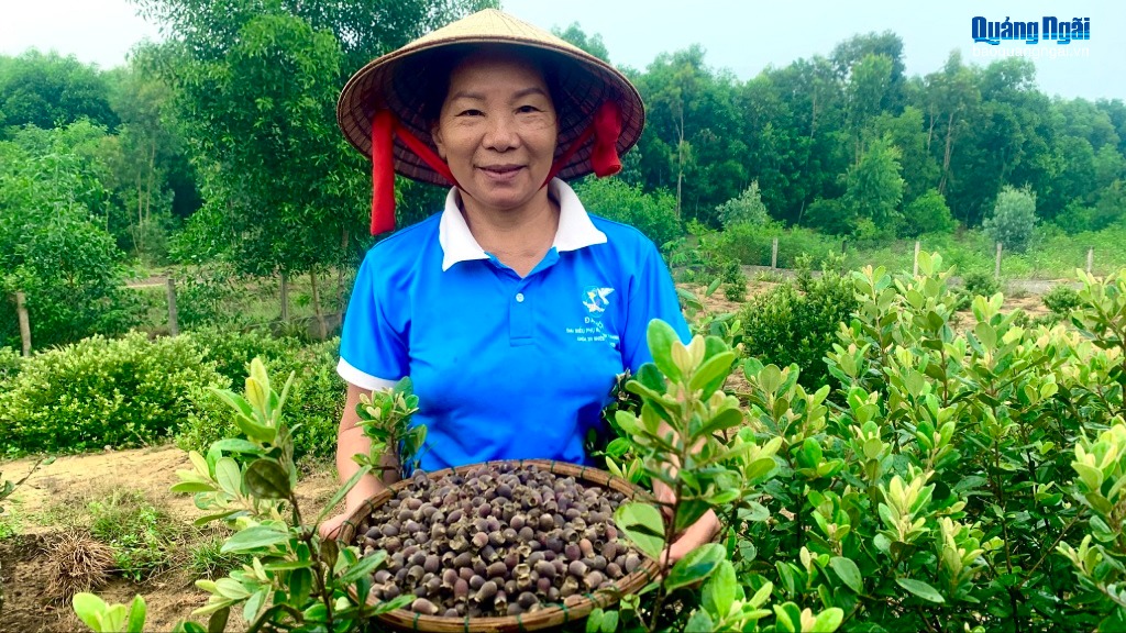 Khởi nghiệp từ sim rừng