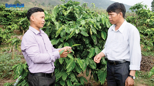 Nỗ lực lớn, quyết tâm cao