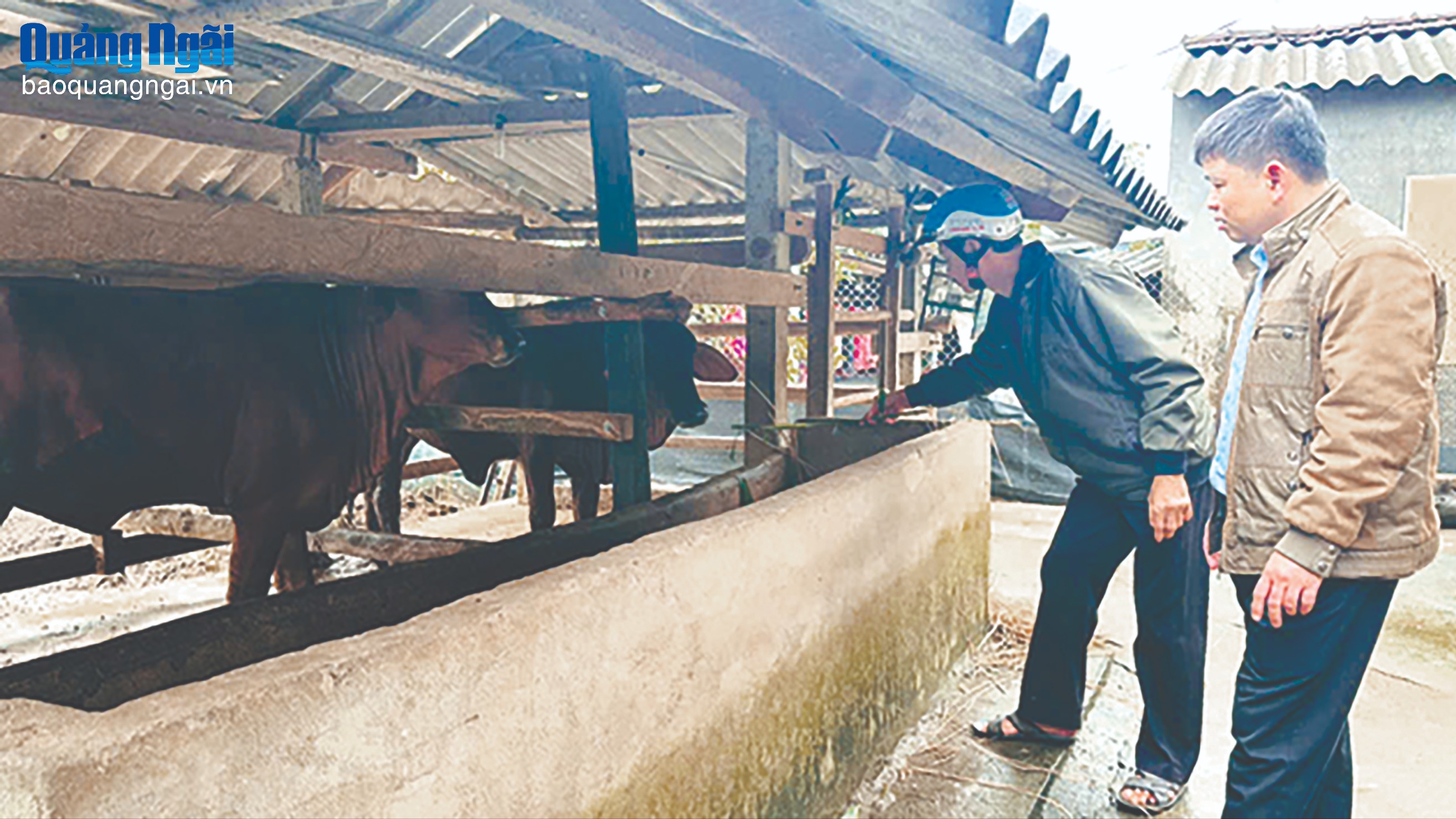 Sắp xếp lại hệ thống ngành nông nghiệp