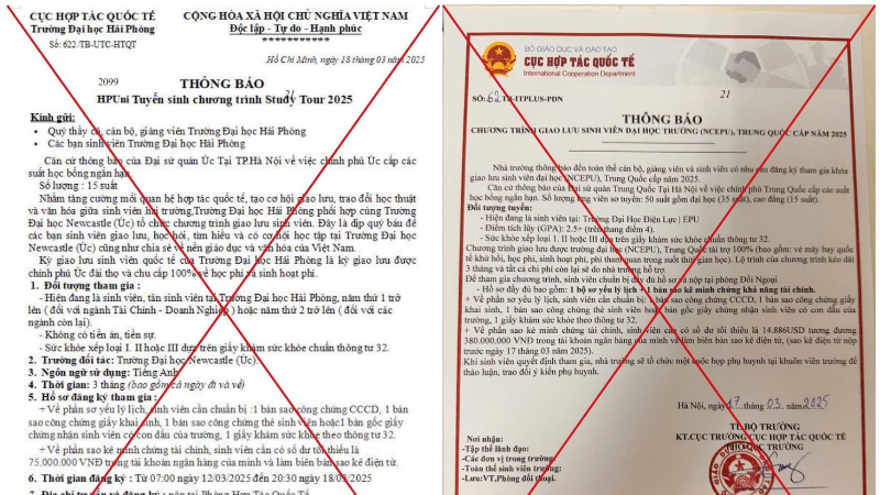 Bộ GD&ĐT cảnh báo thông tin giả về học bổng, tài trợ du học