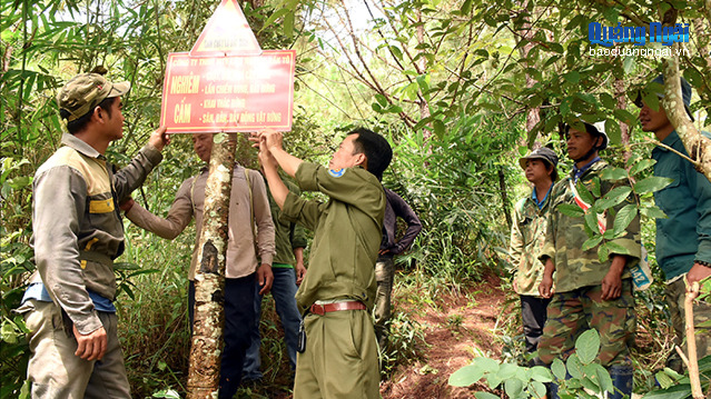 Giữ rừng - giữ nguồn thu