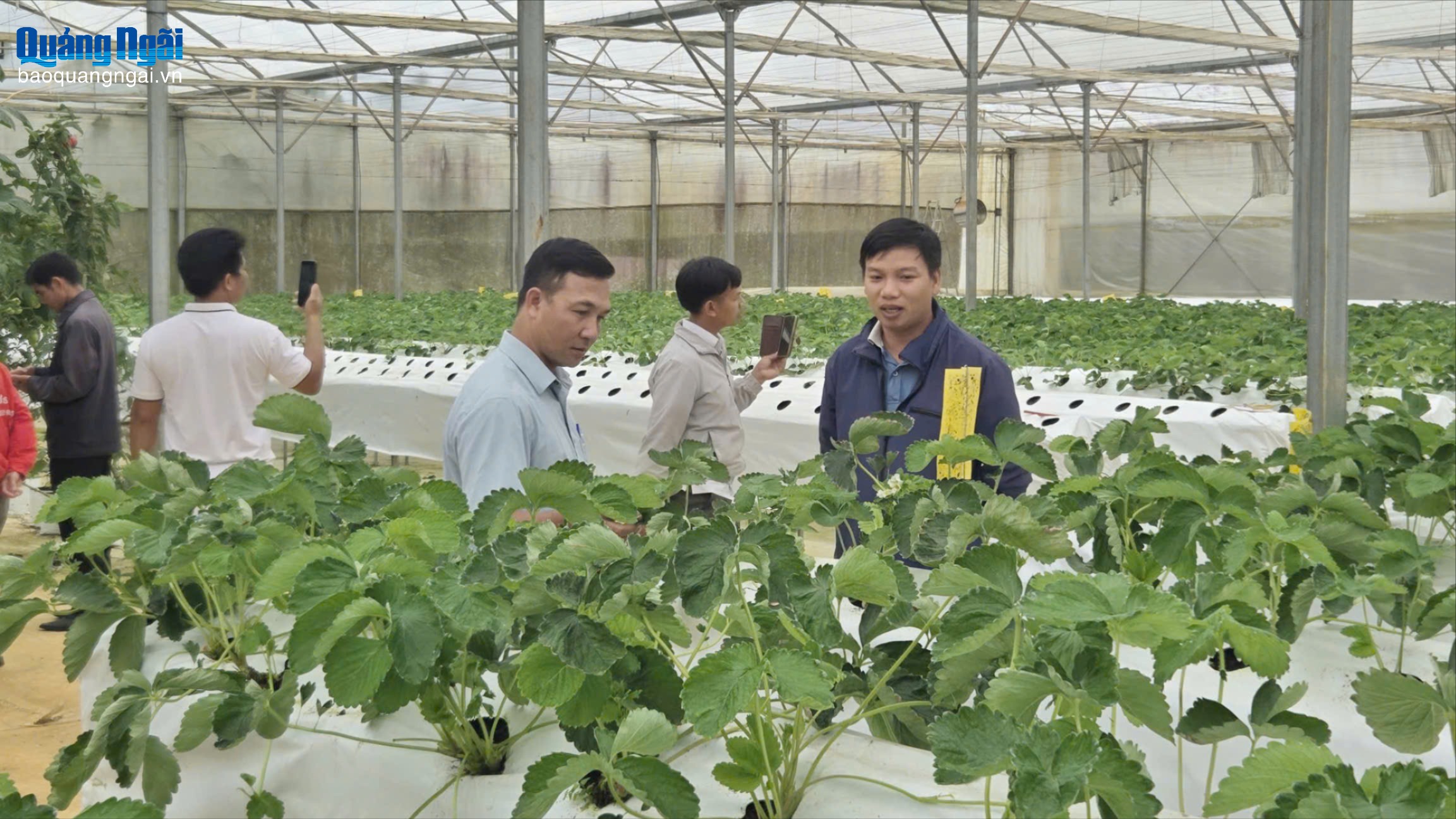 Nâng cao năng lực cho tổ khuyến nông cộng đồng ở các xã phía tây