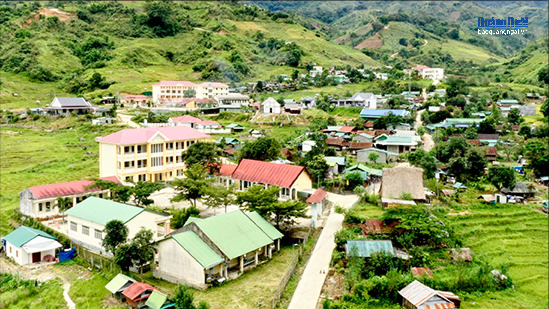 Phát triển cây dược liệu