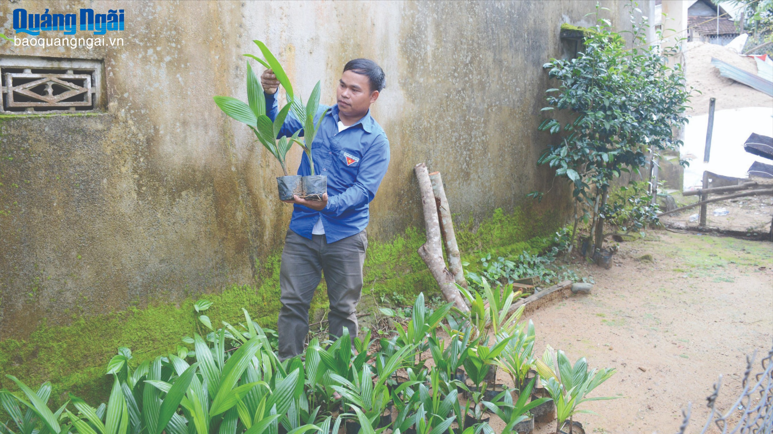 Góp sức trẻ xây dựng quê hương