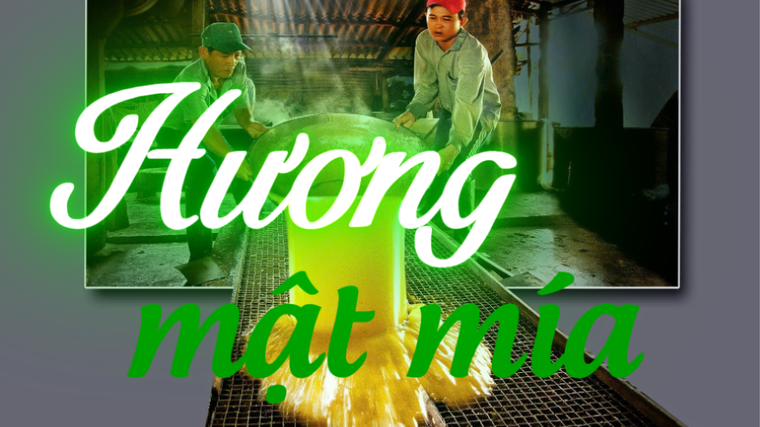 Hương mật mía - Tác giả: TRẦN THU HÀ