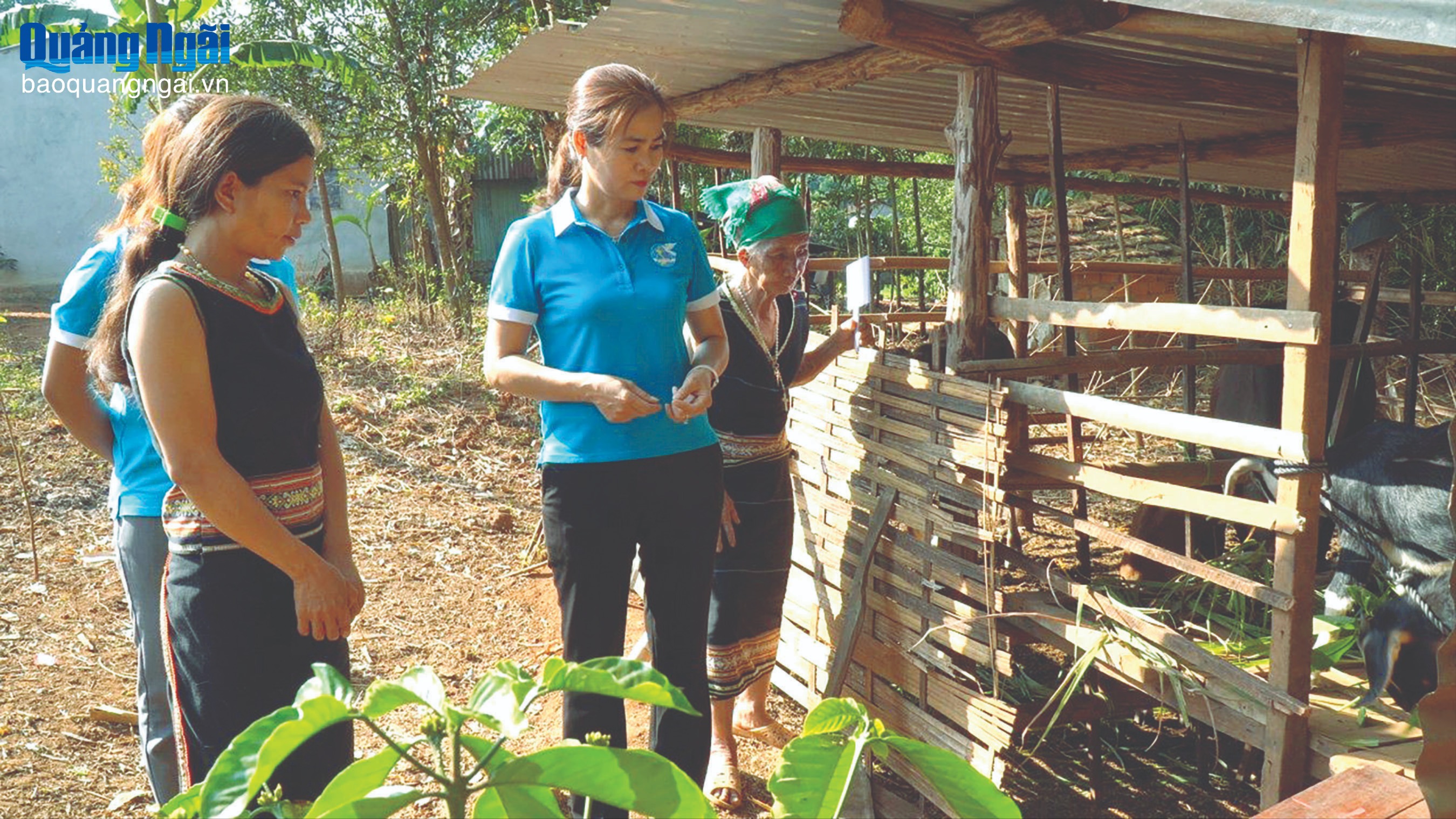 Thúc đẩy bình đẳng giới ở vùng cao