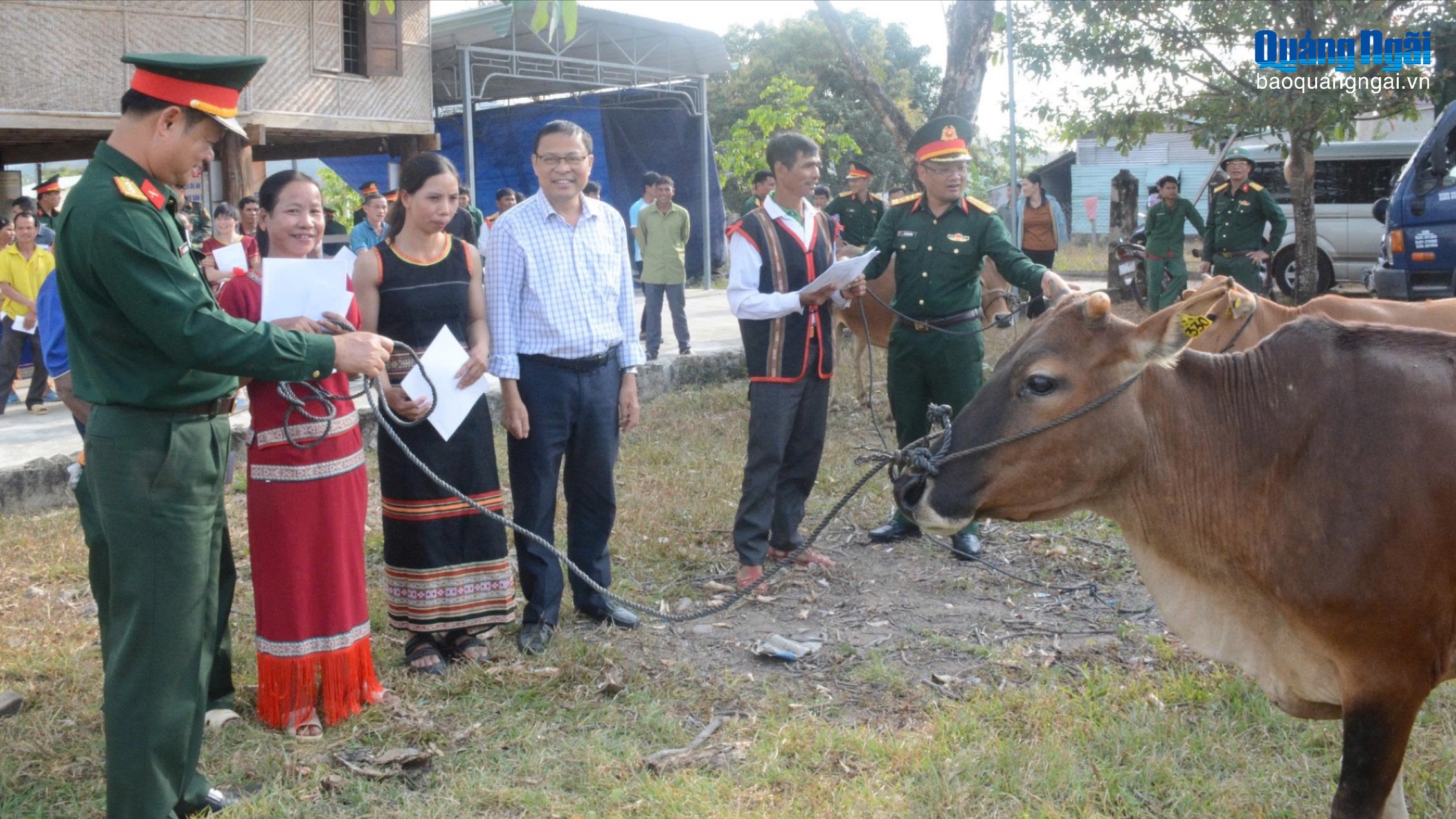 Trao bò giống sinh sản cho người dân xã biên giới Mô Rai