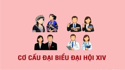 [Infographic]. Cơ cấu, thành phần đại biểu dự Đại hội XIV của Đảng