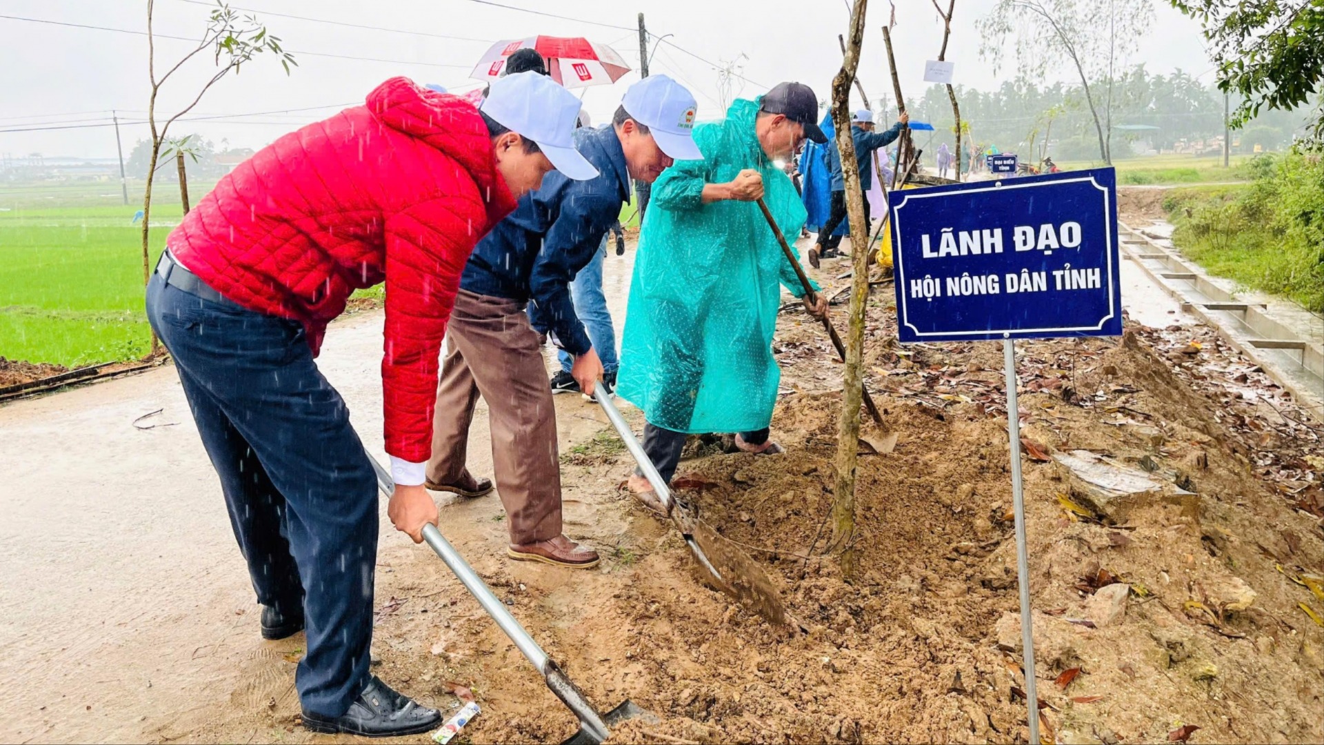 Phát động phong trào Tết trồng cây và tăng cường bảo vệ rừng năm 2026