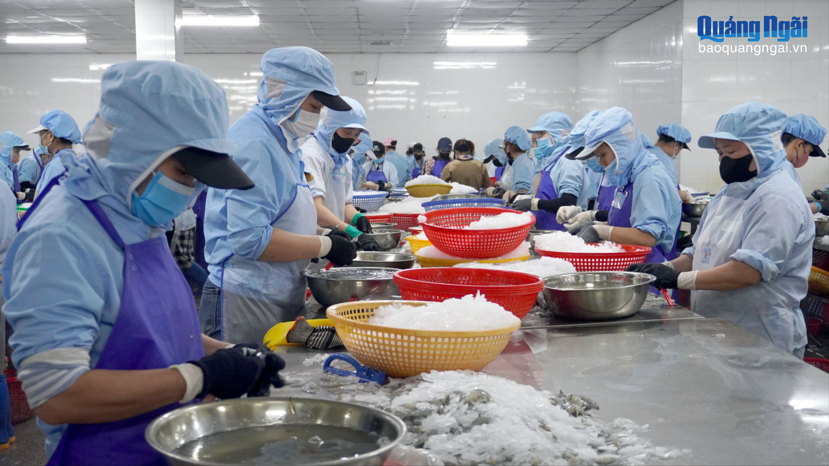 Gỡ khó cho doanh nghiệp thủy sản