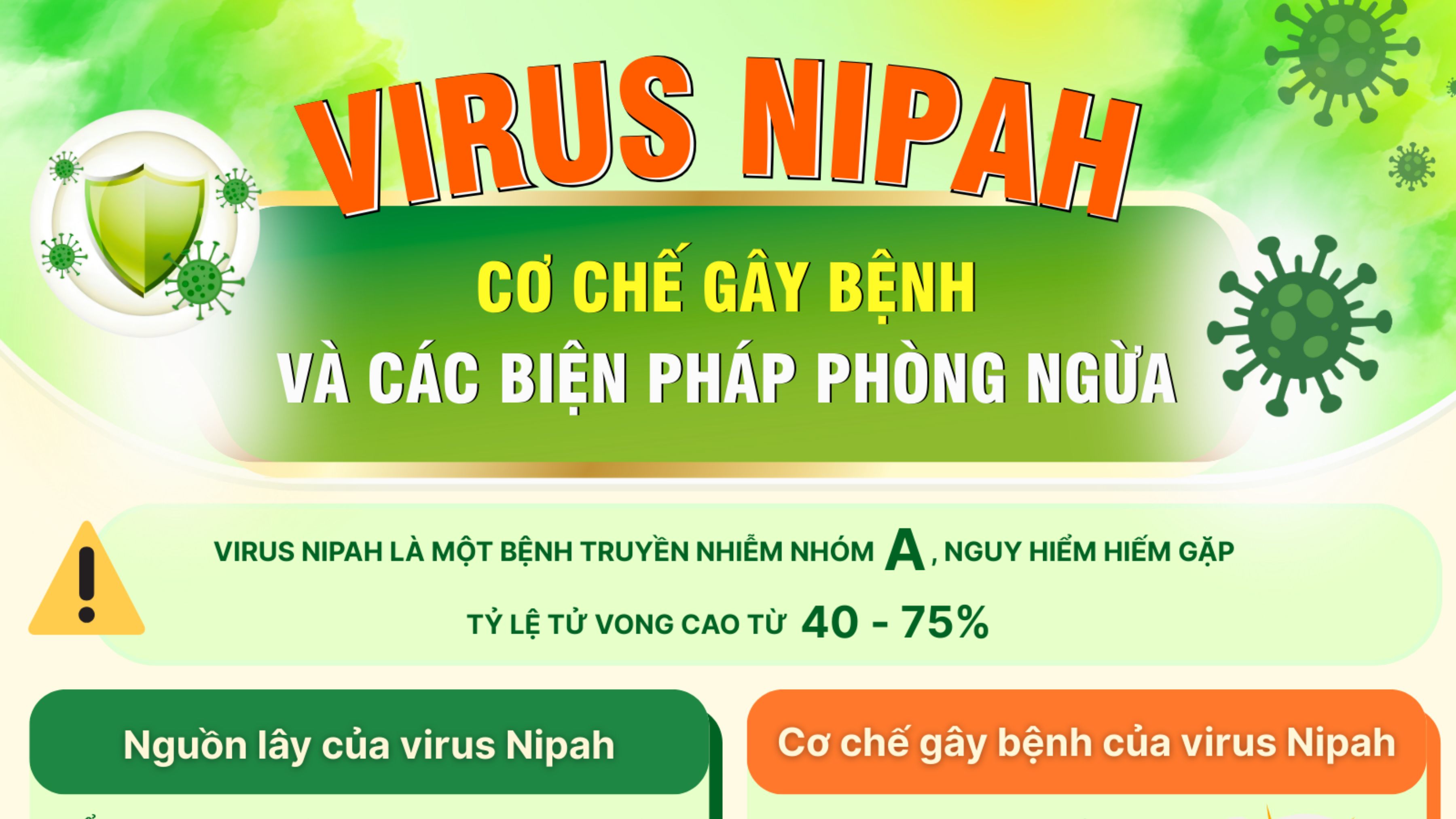 [Infographic]. Virus Nipah - cơ chế gây bệnh và các biện pháp phòng ngừa