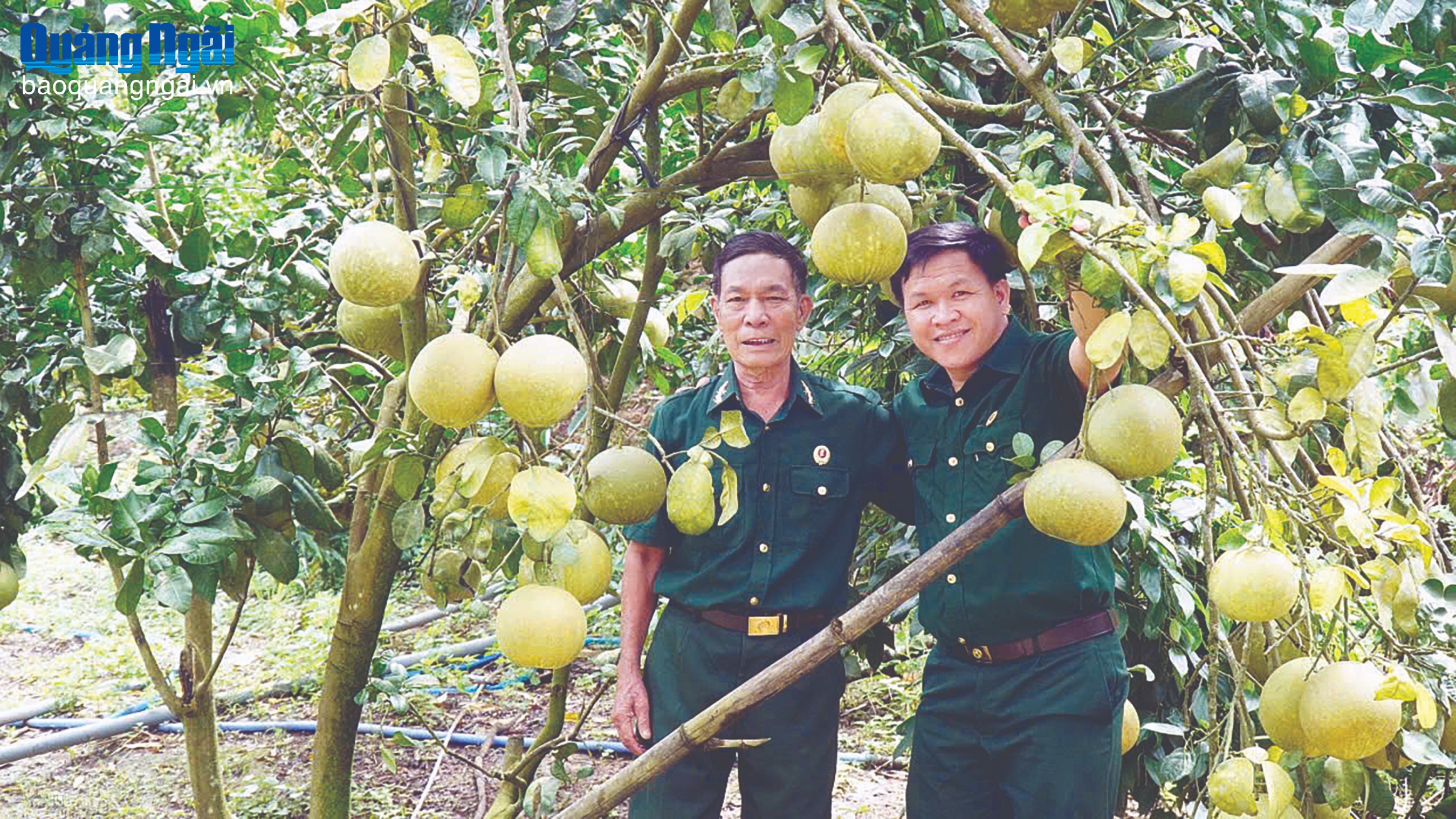 Đảng viên gắn bó mật thiết với dân