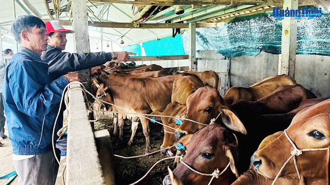 Giúp dân vươn lên thoát nghèo