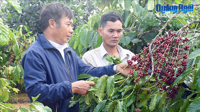 Điểm tựa của hội viên cựu chiến binh