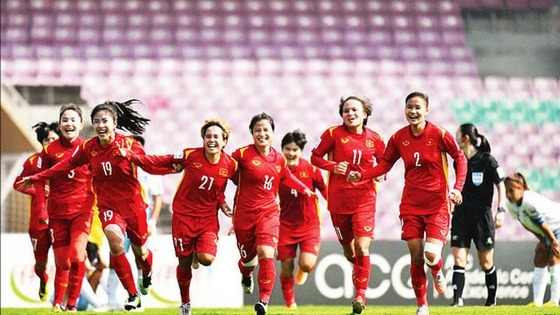 Chính sách đối với thành viên đội thể thao tham gia tập trung tập huấn, thi đấu