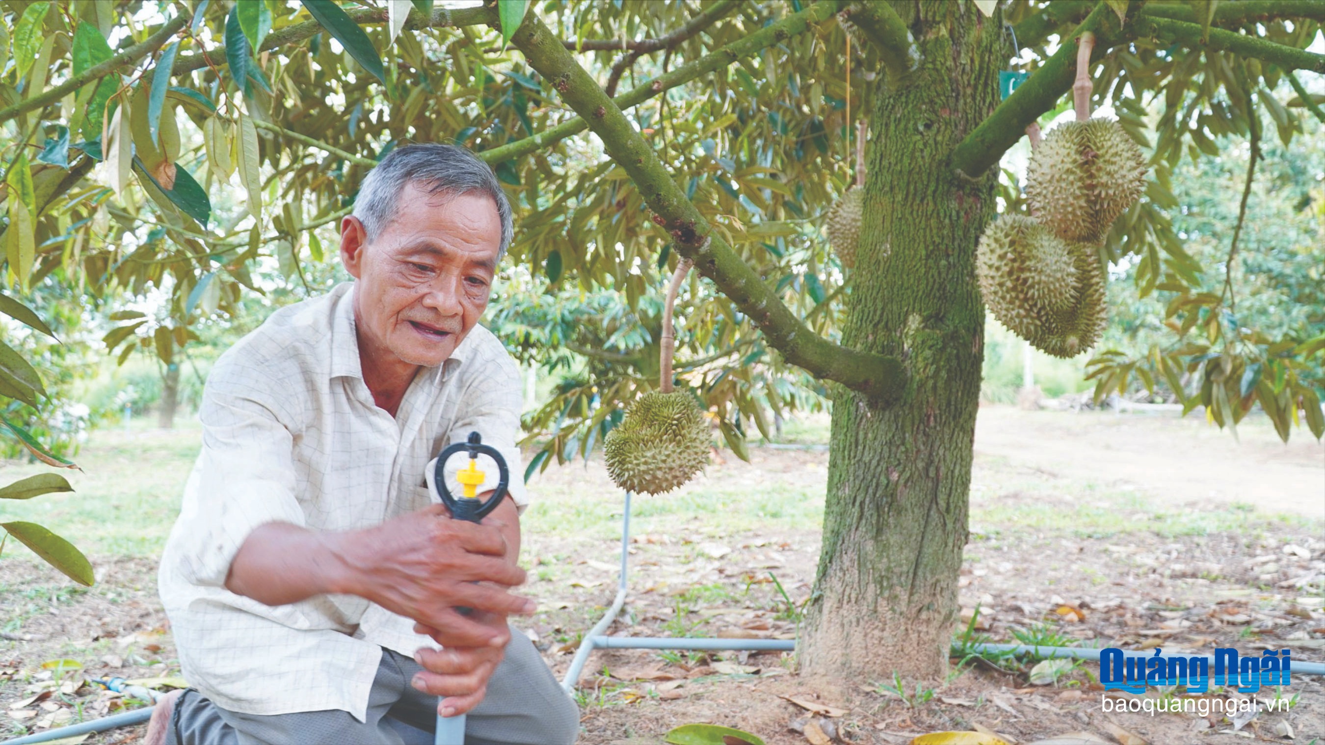 Hướng đến xã nông thôn số