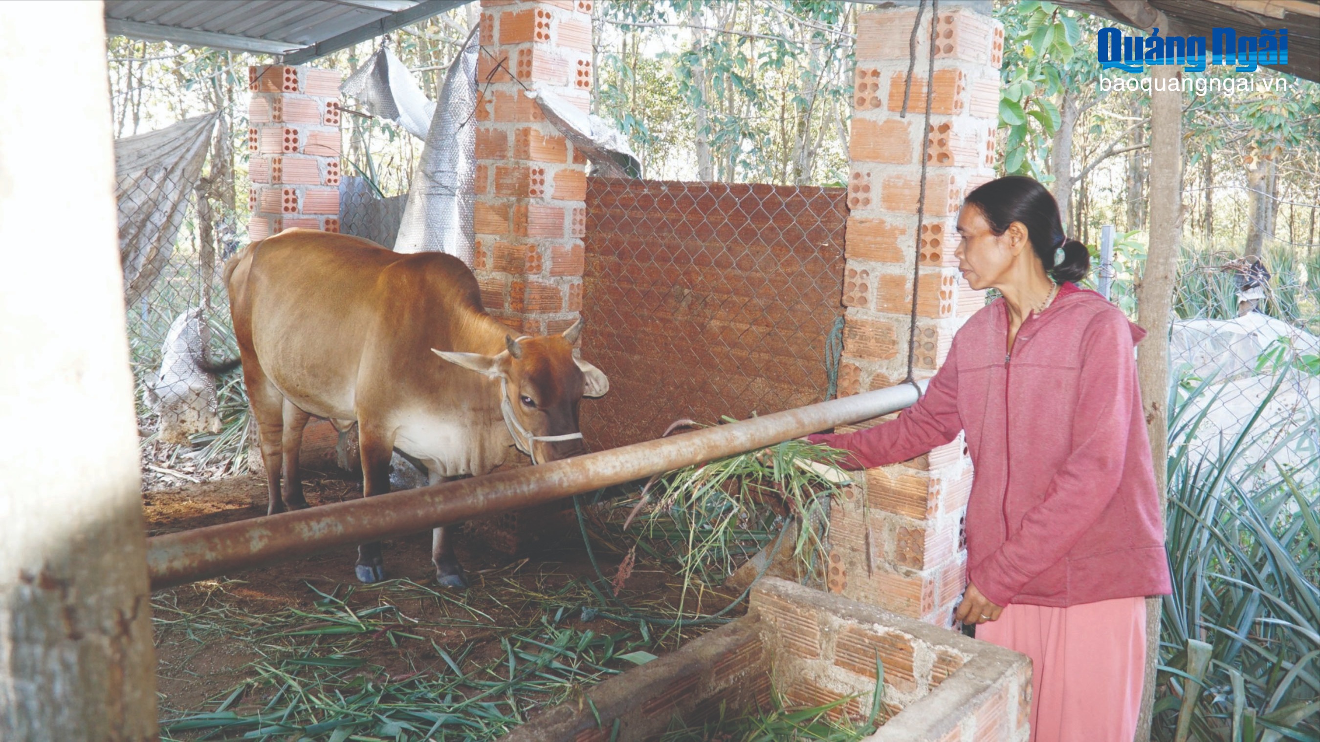 Giảm nghèo bền vững ở vùng cao